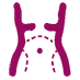 ʹ