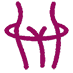 ζ