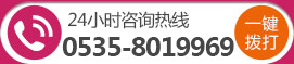 24Сʱѯ0535-8019969