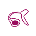 ѹܲ
