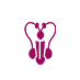 ֳ